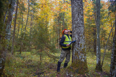 A forest engineer inspects a forest planting. man, 45 years old. Looks up.の写真素材