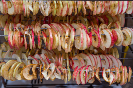 Apples, cut into rings, are dried in a dryer.の写真素材