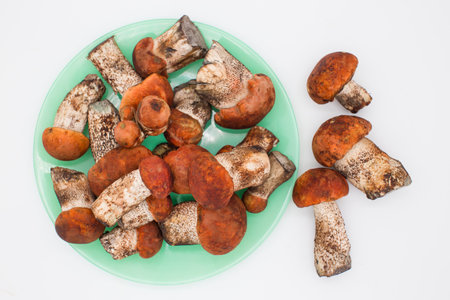 Edible mushrooms on a green plate. White background.の写真素材