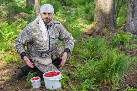 A man picks strawberries in the forest.の写真素材