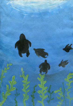 Sea turtles swim in the ocean.の写真素材