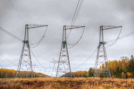 Power transmission line with supports and wires. Wooded area. Autumn, yellow leaves.の写真素材