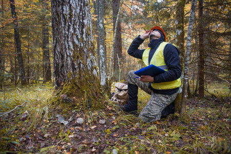 An ecologist and forest engineer works in the forest.の写真素材