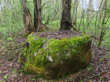 A large stone with a flat top. An ancient altar for sacrifices.の写真素材
