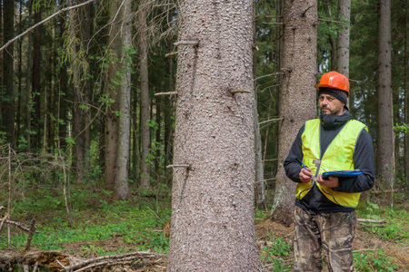 A man, a forest engineer, works in the forest.