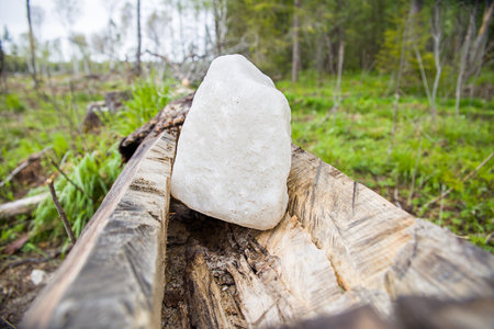 Lumps of rock salt for wildlife in a wooden tray.の写真素材