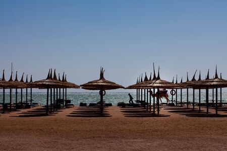 bedouin walking with camel on the sea beach between umbrellas and chairsの写真素材