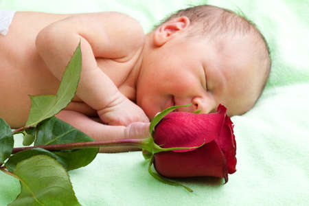 Red rose and newborn baby sleepingの写真素材