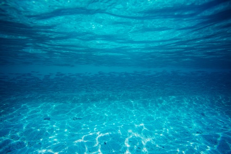 School of small fish near the beach edgeの写真素材