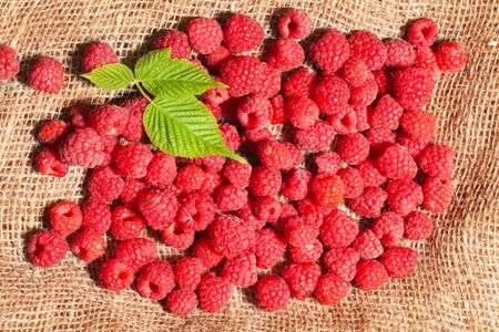 scattered ripe raspberries on sack fabric with green leafの写真素材