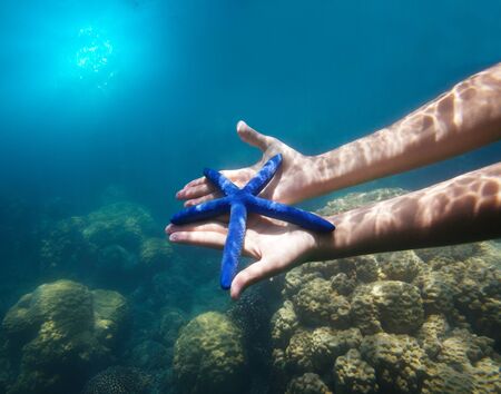 hands holding big blue starfish underwater with corals on backgroundの写真素材