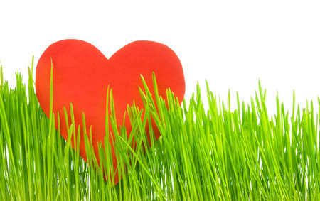 Spring and Valentine spirit - heart shape in spring fresh grassの写真素材