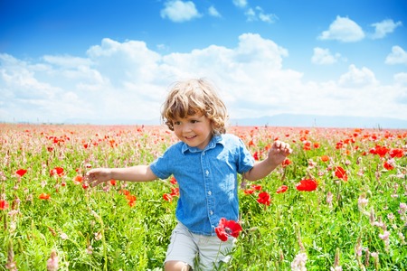 Happy little boy in blue short running in poppy red flowers field in franceの写真素材