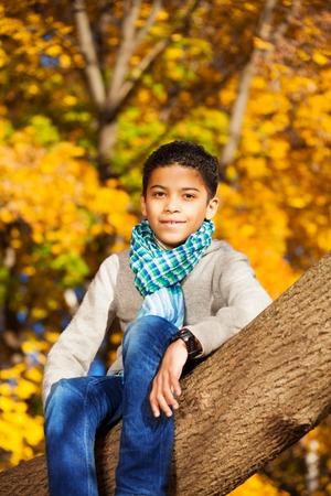 Black 10 years old black boy sitting on the tree in autumn parkの写真素材