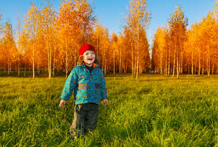 Laughing three years old little boy standing on the lawn in the autumn parkの写真素材