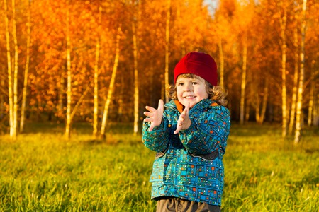 Laughing three years old little boy standing on the lawn in the autumn park and clapping handsの写真素材