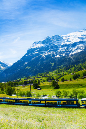 Stripped blue yellow train crossing green Alps countryside with mountain background in summerのeditorial素材