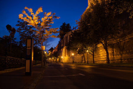 Palota ÃÂºt under Buda Castle and National Library with street lights at night in Budapest, Hungaryの写真素材