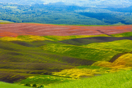 Colourful agriculture hills in Tuscany in summer in Italyの写真素材