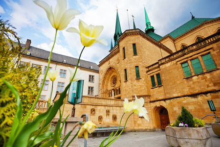 White flowers, Notre-Dame Cathedral, Luxembourgの写真素材