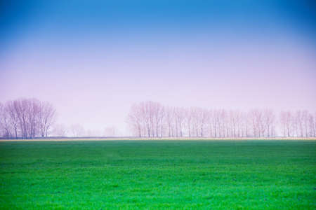 Haze winter landscape with valley in Romaniaの写真素材