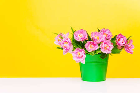 Green pot with pink flowers stand on white table and on yellow backgroundの写真素材