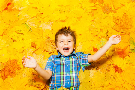 Little happy Caucasian boy laying in leavesの写真素材