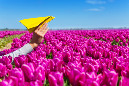 Hand holding paper plane and purple tulips viewの写真素材