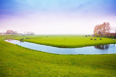 Spring Meadow in Netherlandsの写真素材