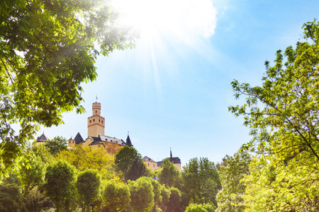 Marksburg castle on sunny day, Germanyのeditorial素材