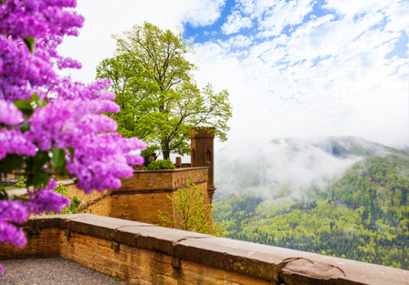 View in haze from Hohenzollern castle with flowerのeditorial素材