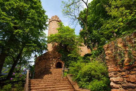 Auerbach castle entrance in spring trees foliageのeditorial素材