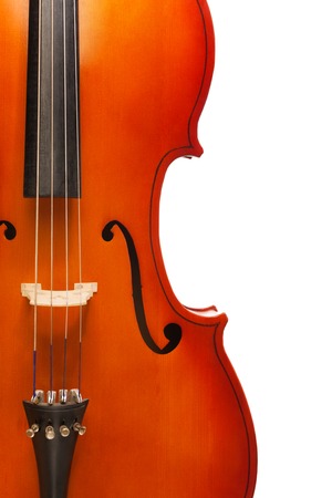 Fragment view of cello body with bridge, F-holesの写真素材