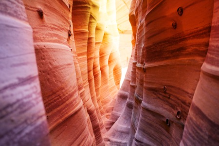 Columns and wave formations in Zebra Slot Canyon Utah, USA natural shapes of sandstone formed by little creekの写真素材