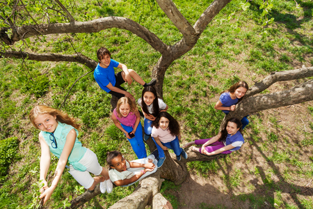 View from the top of teenagers sitting on treeの写真素材