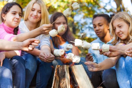Teens hold marshmallow sticks near bonfire together on campsite during sunny autumn day in forestの写真素材
