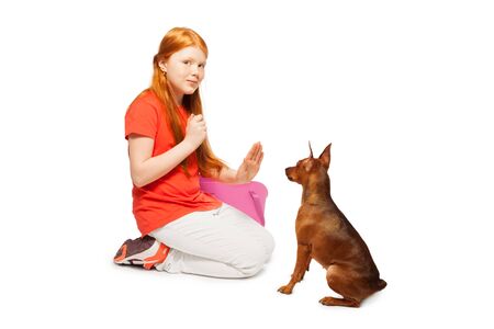 Red beautiful girl taming and training her pet dog pinscher isolated on whiteの写真素材