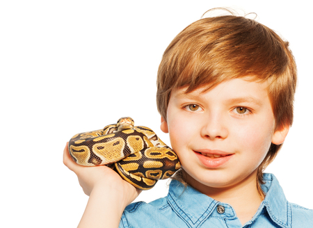 Close-up portrait of  blond young boy holding Ball python on his hand, isolated on white backgroundの写真素材