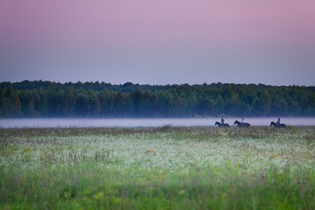 Beautiful view of three equestrians riding in foggy field at sunsetの写真素材