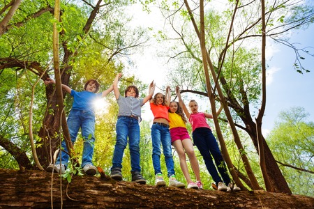 Five happy teenage boys and girls, standing in a row on a fallen tree, holding their hands up in the forestの写真素材