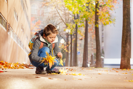 Happy schoolboy collecting yellow autumn leavesの写真素材