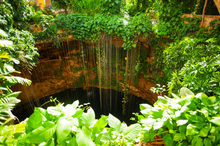 Top view of Ik-Kil cenote at Chichen Itza, Mexicoの写真素材