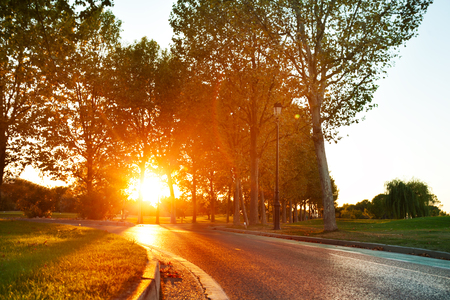Road running through park under sunset sunbeamsの写真素材