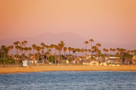 Beautiful view of Long Beach coastline framed with palm trees at duskの写真素材