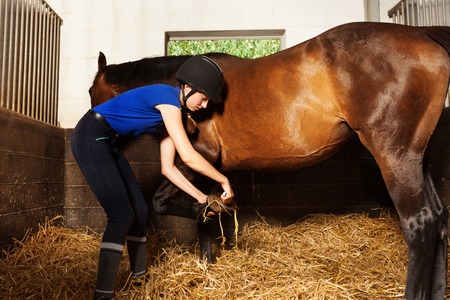 Young woman cleaning horses hoof at box stallの写真素材