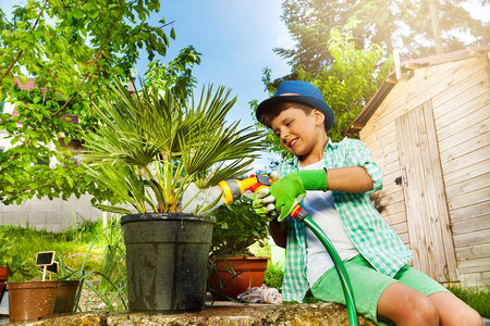 Little gardener watering palm tree with sprinklerの写真素材