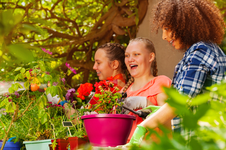 Happy girls friends having fun potting flowersの写真素材