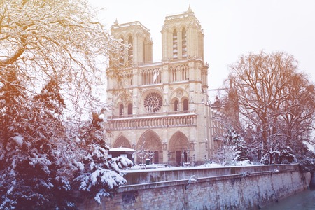 Notre-Dame Cathedral after snowfall in Paris, Franceの写真素材