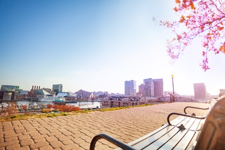 Overlooking Inner Harbor at sunny day, Baltimore, Maryland, USAの写真素材
