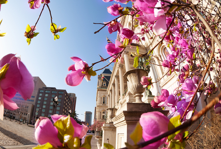 Baltimore City Hall against blue sky, MD, USAの写真素材
